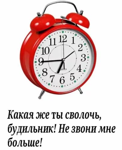 Статусы про будильник. Статусы про будильник прикольные. Будильник звонит. Отпуск будильник.