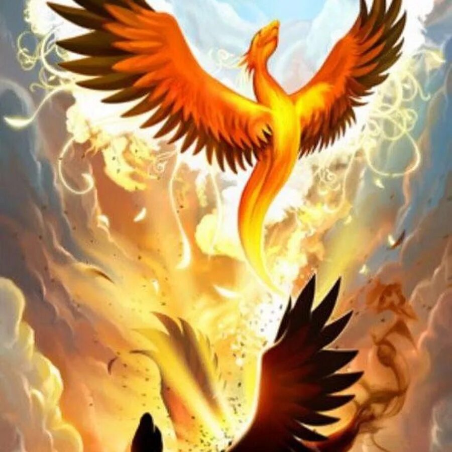 Phoenix rebirth. Phoenix rebirth