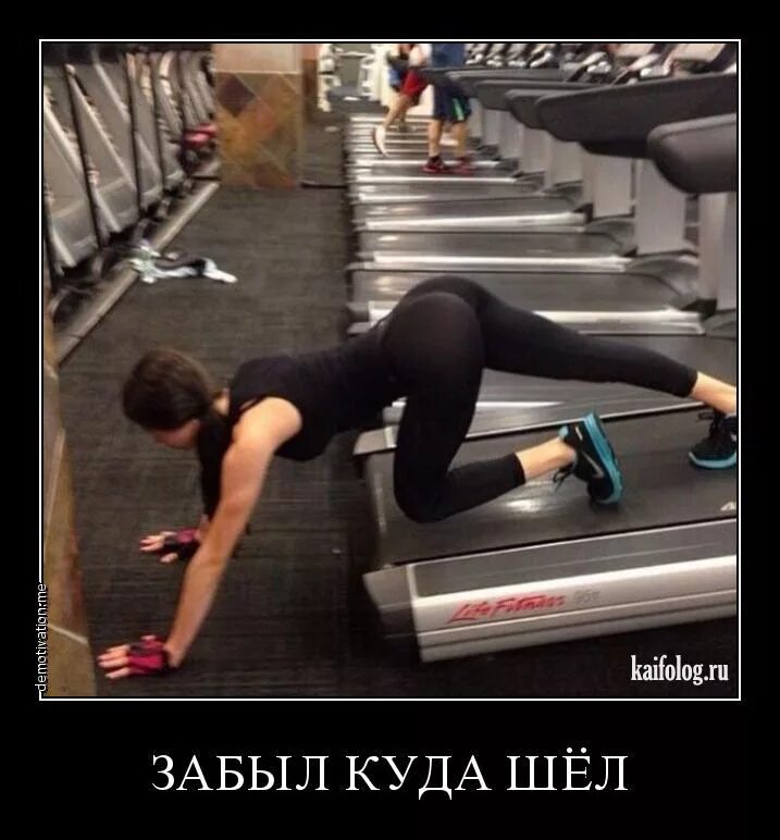 Не знаю куда идти работать