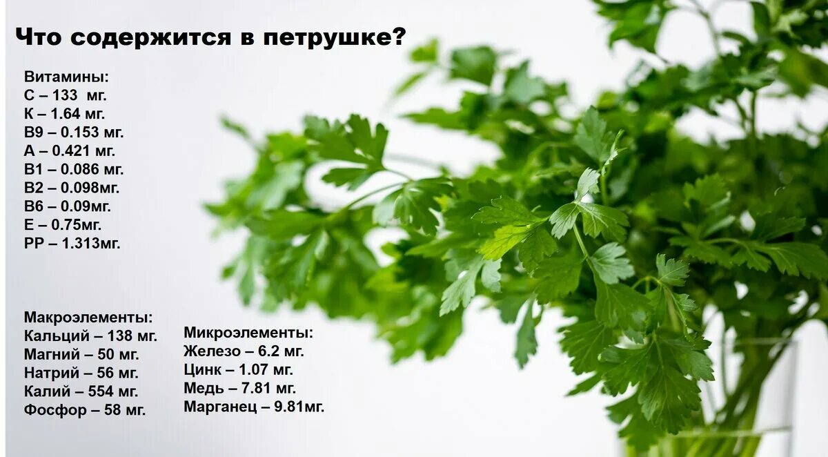 Сколько грамм в сельдерее. Петрушка. Витамины в укропе и петрушке. Петрушка витамины. Какие витамины в петрушке.