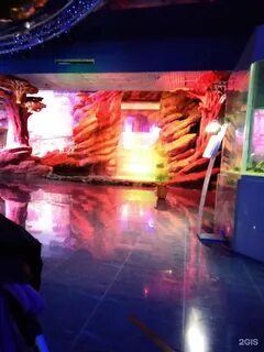 Уральская 98 11 краснодар океанариум