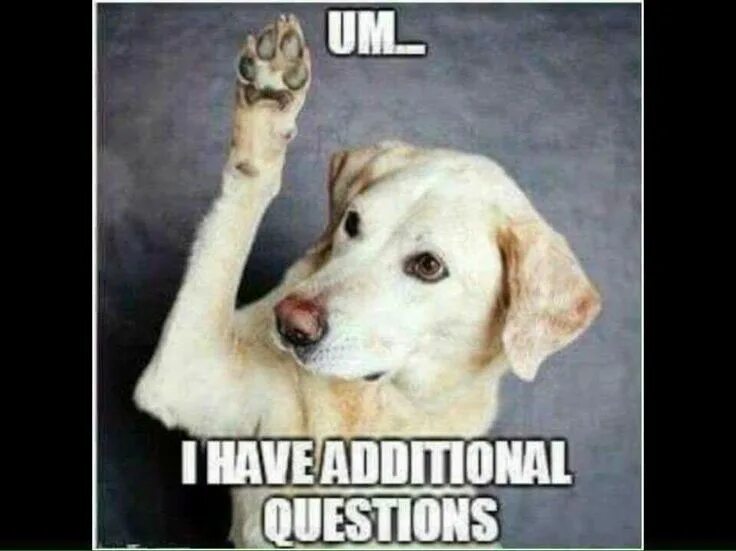 Nice i have a question. I have a question мэм. questions мем. i have a question meme. хороший вопрос мем.