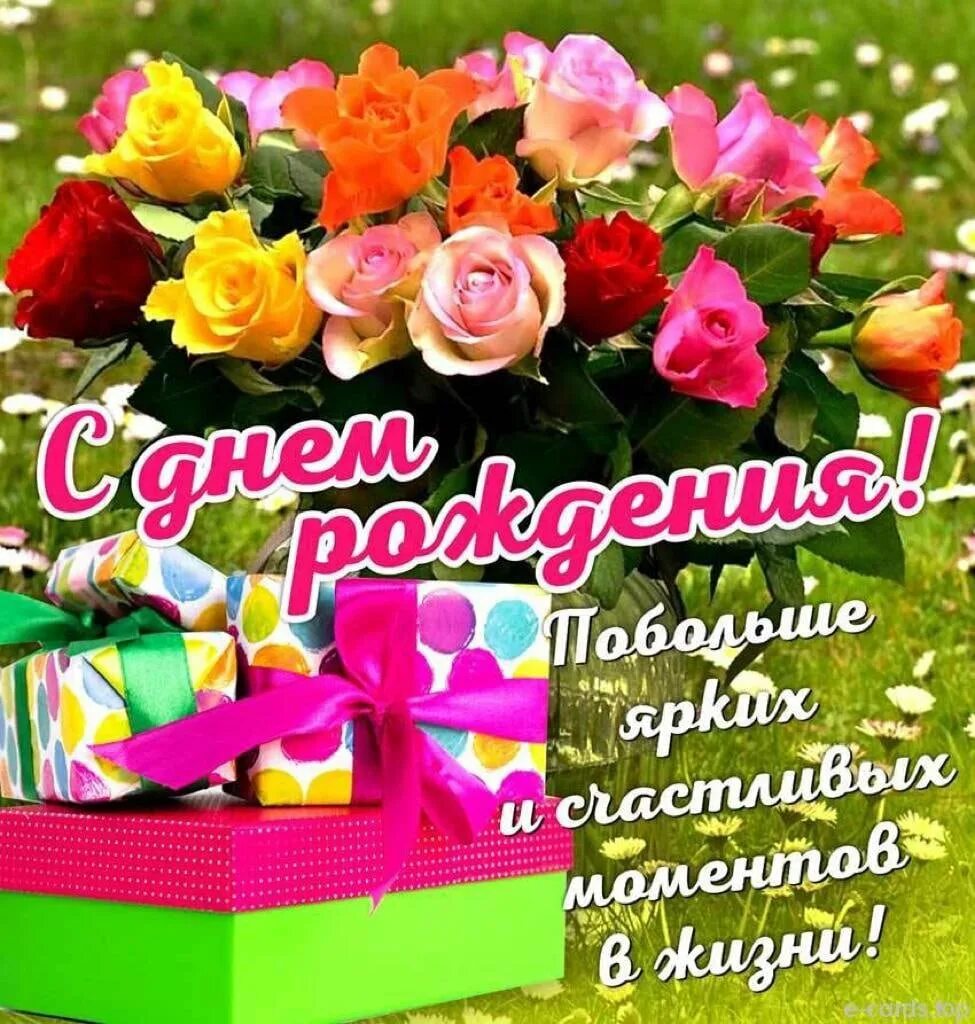Картинки с днем маргариты. С днём рождения маршаоита. С днём рождения маршаоита. С днём рождения маргаритка. Поздравления с днём рождения рите.