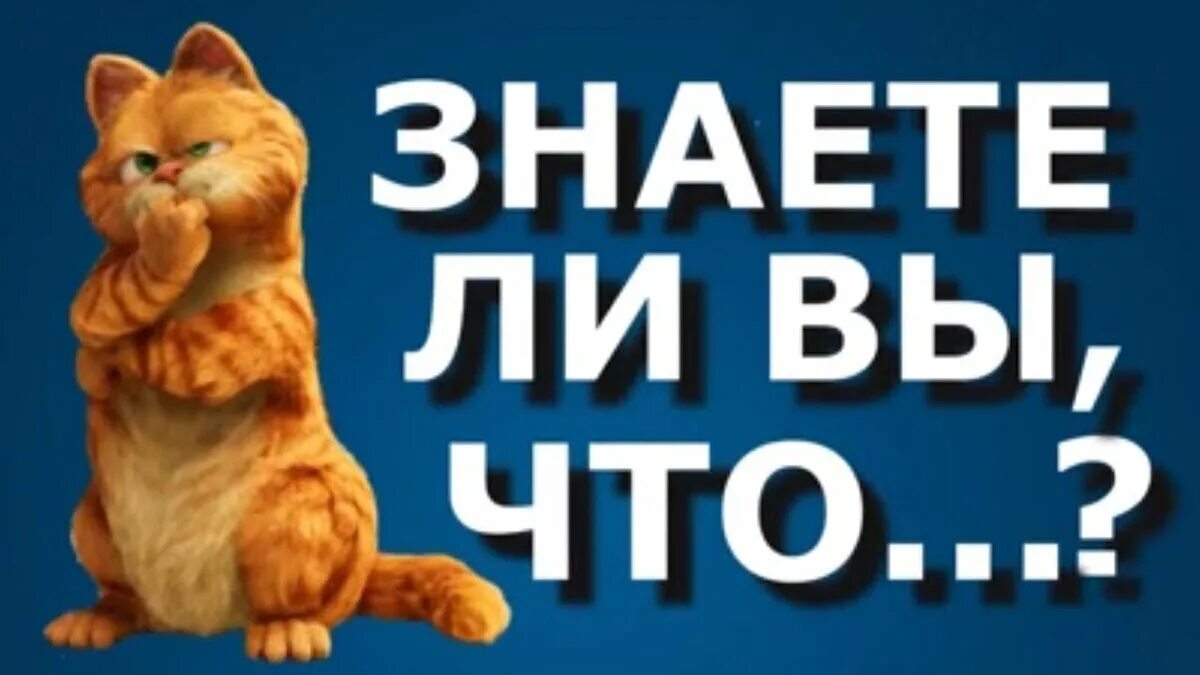 Знаете ли вы что. Знаете ли вы картинка. Знаете ли вы картинка. А вы знали картинка. Знаете ли вы картинка.