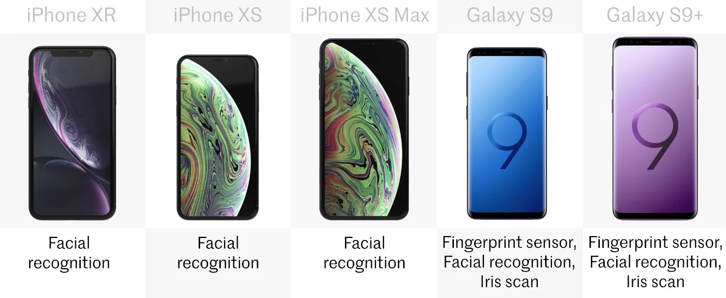 Сравнение x xs. Iphone XS XS Max XR Размеры. Айфон XR И XS Max Размеры. Размеры iphone 11 XR XS. Айфон хр ХС ХС Макс.