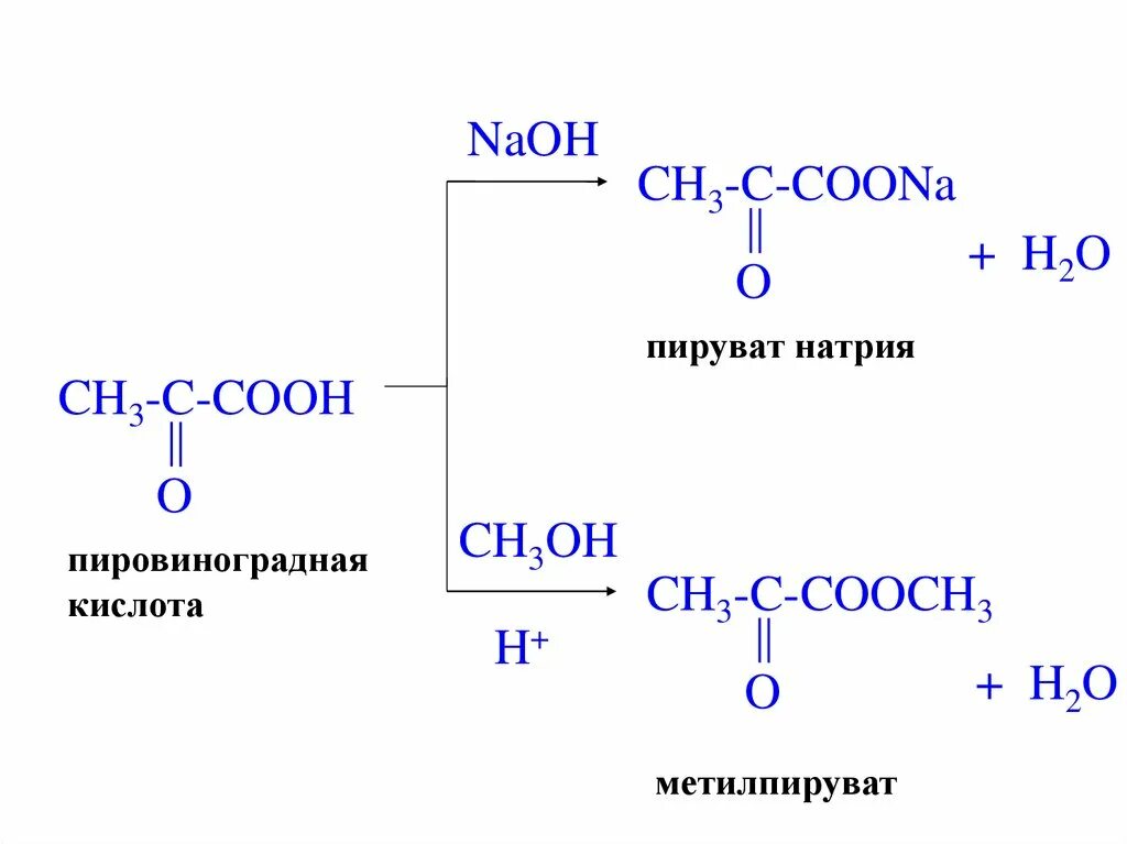 Пировиноградная кислота формула. «Гетерофункциональные соединения» изомерия. Пировиноградная кислота (2-оксопропановая). Пировиноградная кислота плюс гидроксид натрия. Пировиноградная кислота реакция с i2.