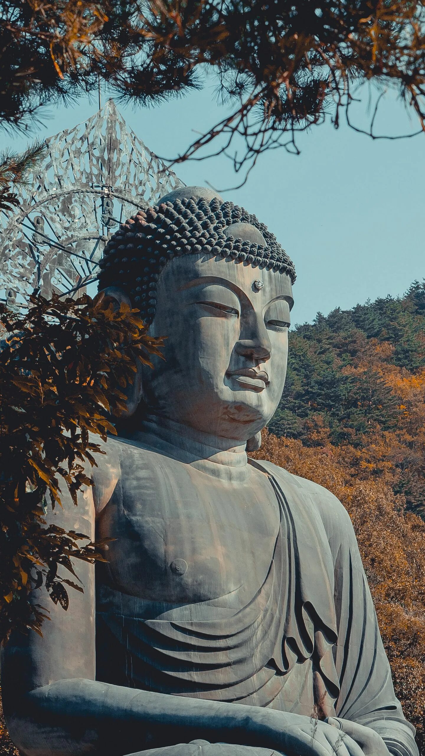 Прическа буды. Будда и буддизм Южная Корея. Статуя Будды в Южной Корее. Статуя Будды VIII века в Корее. Уханьский Будда.