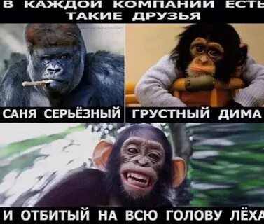 Леха смешные картинки