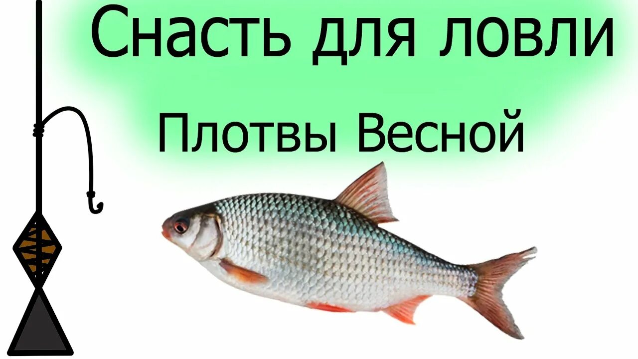 Плотва на поплавочную удочку летом, осенью и весной - оснастки