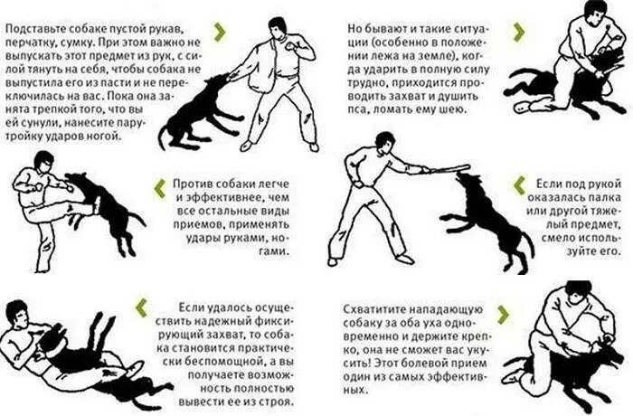 Как защищаться от нападающего