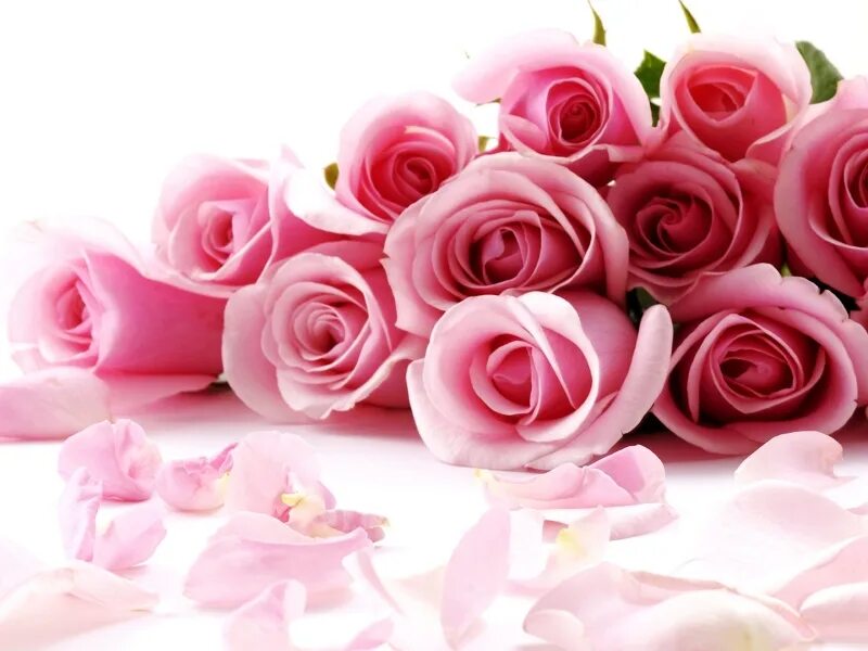 Цветы поздравления. Красивые цветы для поздравления. Поздравляем с днем рождения цветы. С днем рождения розовые розы.