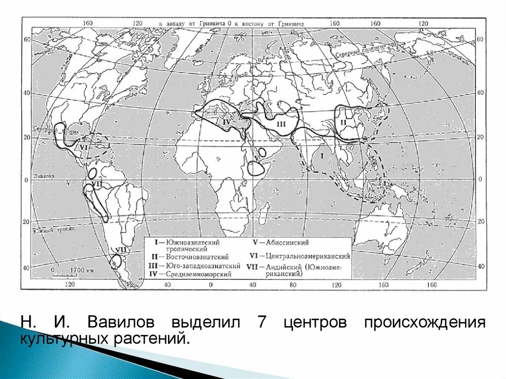 Центры многообразия вавилова. Центр происхождения культурных растений в Евразии.. Н И Вавилов 7 центров происхождения культурных растений. Центры происхождения культурных растений карта. Вавилов центры происхождения культурных растений таблица.