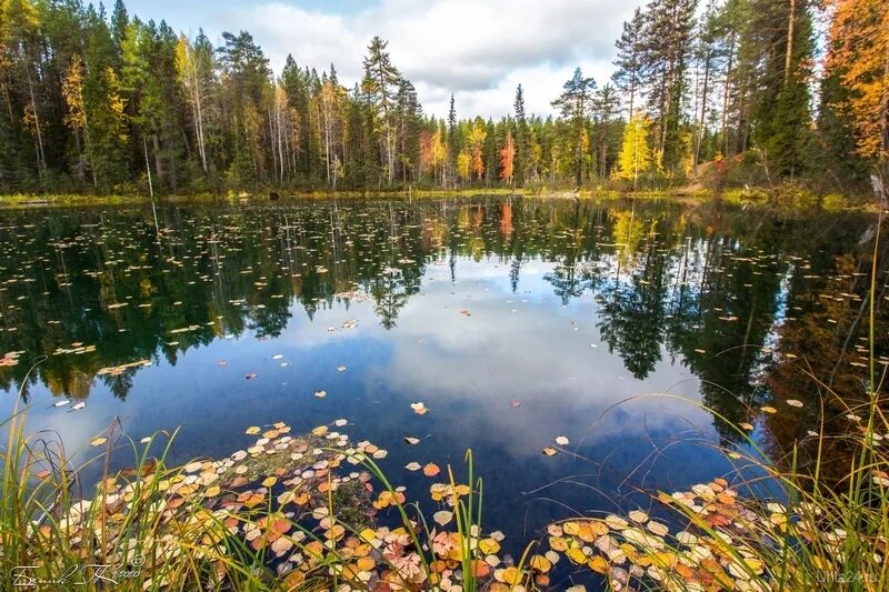 Параськины озера Ухта. Параськины озера Республика Коми Ухта. Голубое озеро Параськины озера. Государственный природный заказник "Параськины озера".