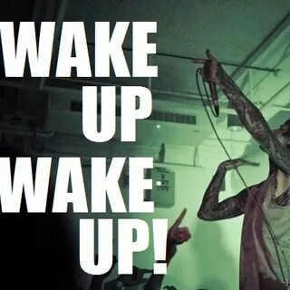 Wake up формы