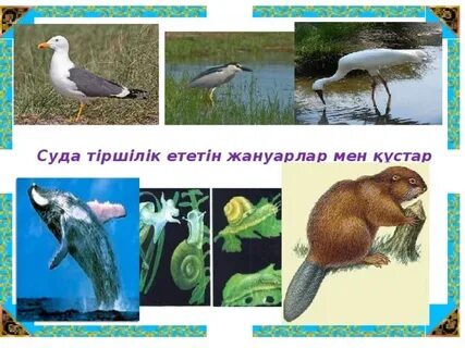 Снегг Гарридің мүшесін ұрады