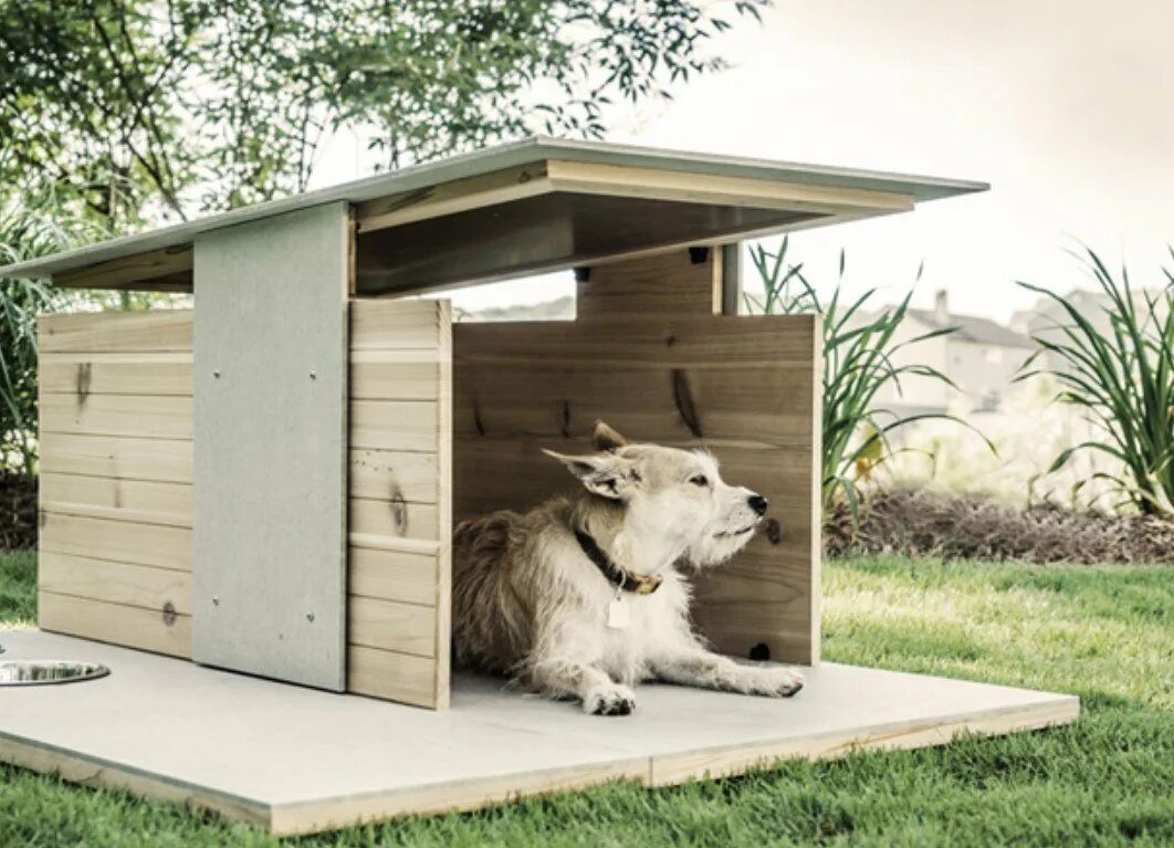 New dog house. Собачья конура будка. Лакшери будка для собаки. Конура для 2 собак. Необычные будки для собак.