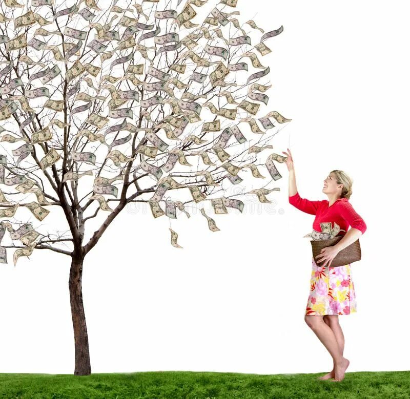 Picking up money. Человек поливает дерево с деньгами. Деньги под деревом. Денежное дерево девушка. Собирает деньги с дерева.