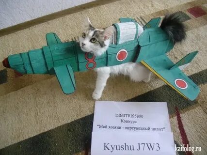 Мой хозяин мелодия