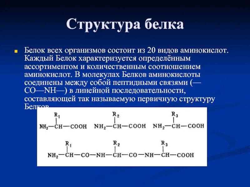 Белок из аминокислот. Белок состоит из аминокислот. Структурные белки. Строение белков из аминокислот. Белки состав и структура аминокислот.