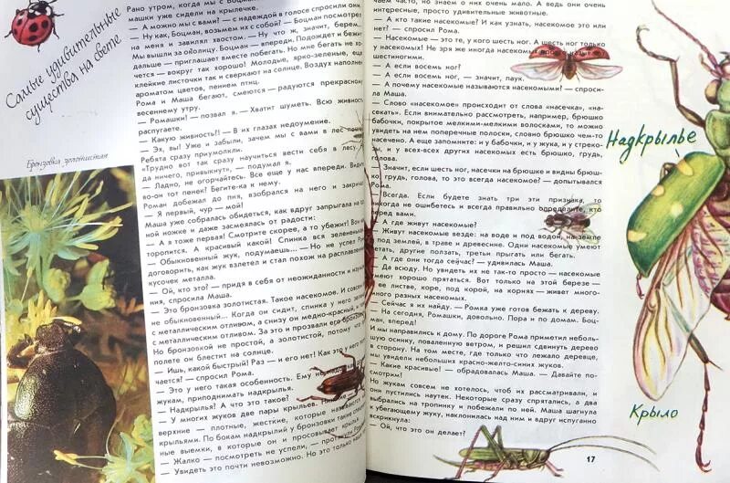 Дмитриев читать. Ю.Дмитриев о природе для больших и маленьких. Юрий Дмитриев о природе для больших и маленьких. Книга Дмитриева о природе для больших и маленьких. Юрий Дмитриев рассказы о природе.