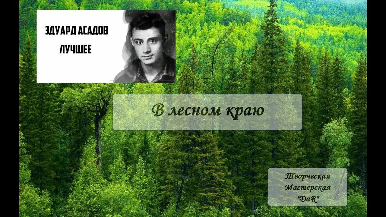 Асадов лес. Асадов лес стихотв. Лесная река Асадов. В лесном краю книга