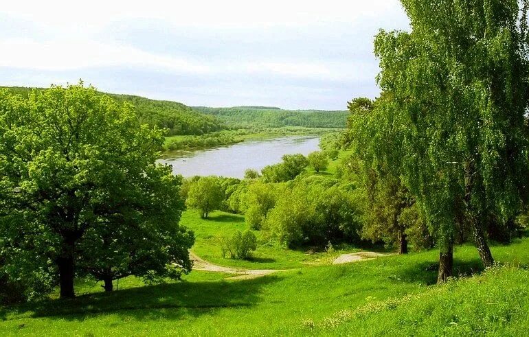 Как называется родной край. Картинки наш край родной. Край родной навек. Мой край родной стихи. Как называется родной край.