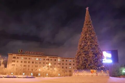 Ели мурманск