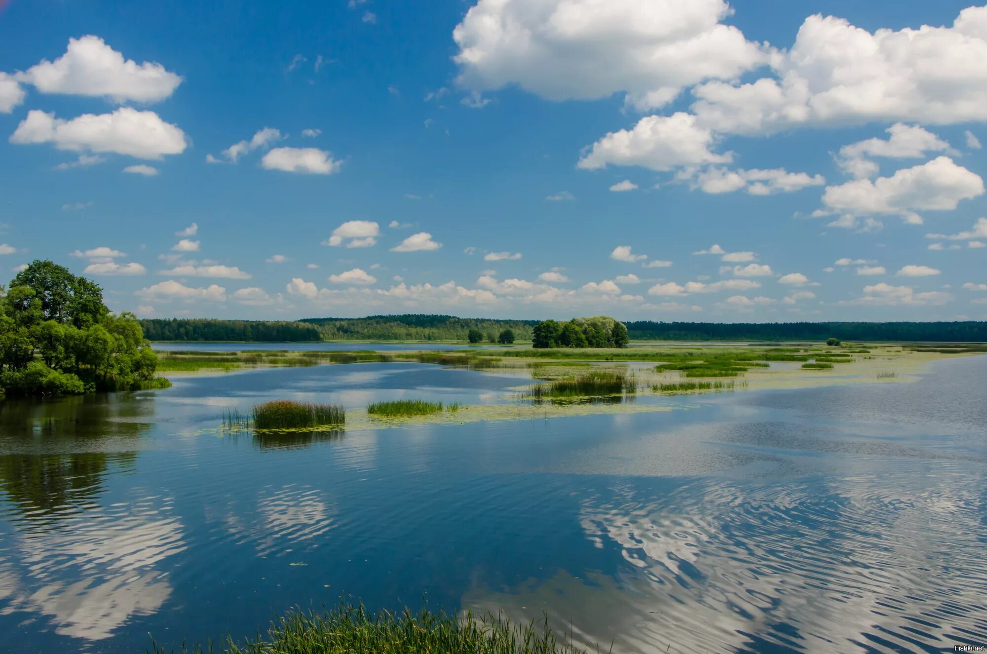 Река Друть Беларусь. Река Друть Круглянский район. Днепр река в Жлобине. Река Кляпинка Беларусь. Какие реки в белоруссии