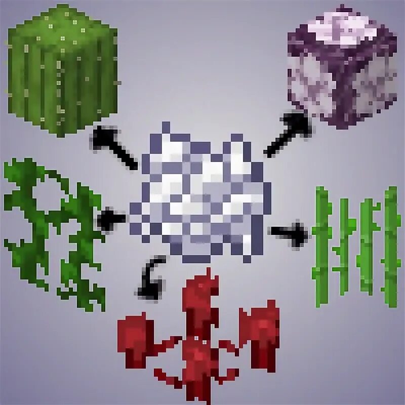 More culling minecraft. Minecraft meal. block face culling майнкрафт. как сделать цветок хоруса в майнкрафт. как выращивать хорус в майнкрафт.