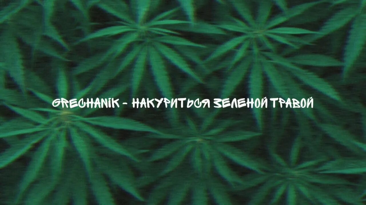 Что хотят зеленые