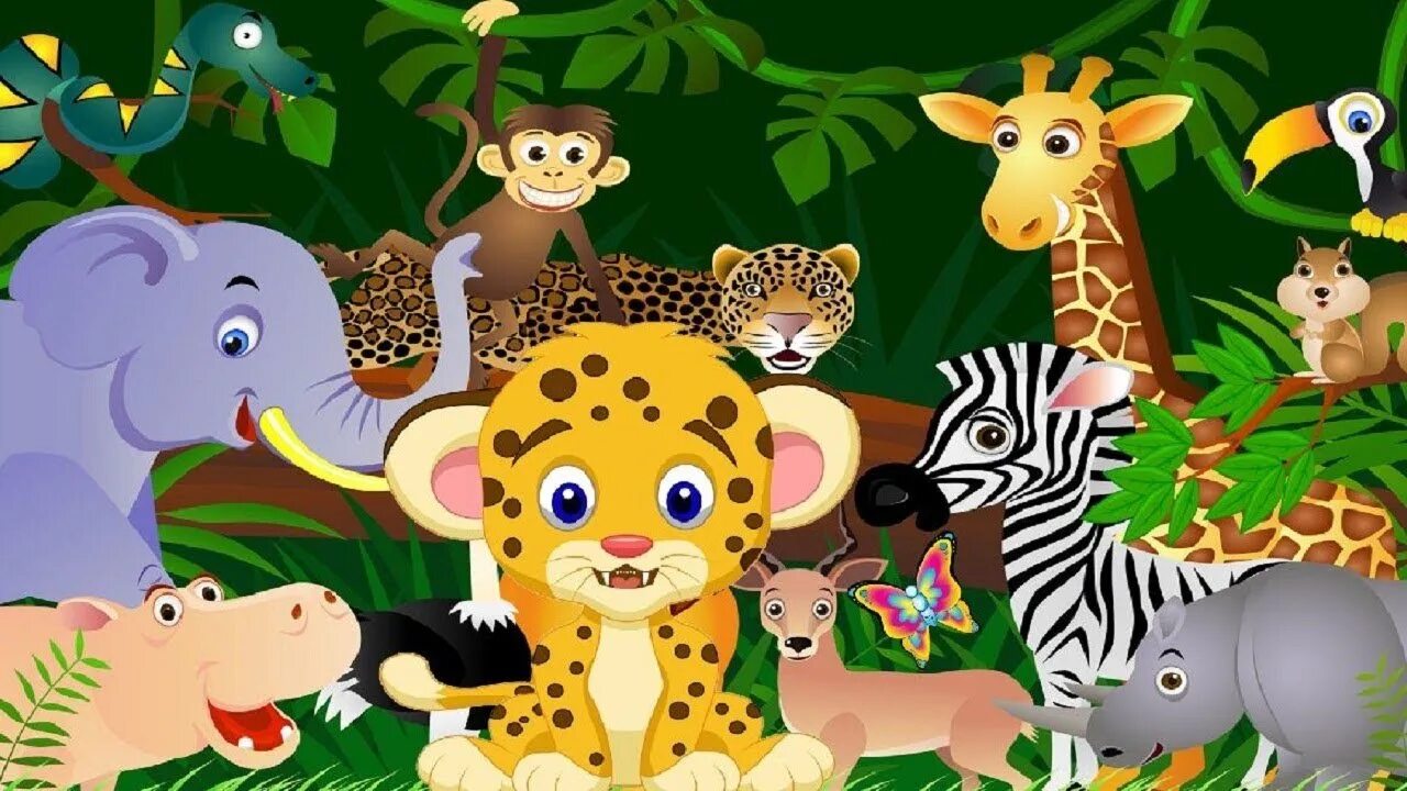 Zoo animals videos. Обитатели джунглей. Обитатели джунглей для детей. Мультяшные животные Африки. Джунгли мультяшные.