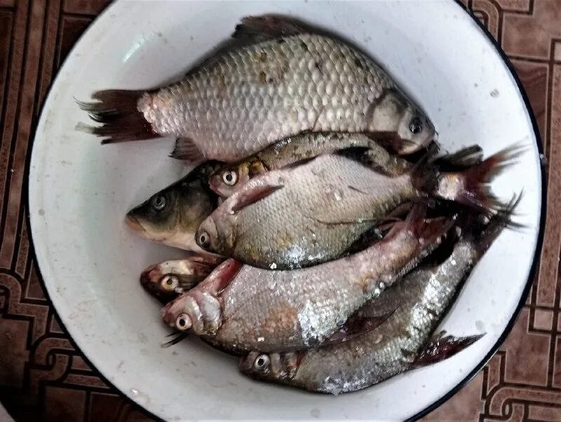 рыбаки шадринска