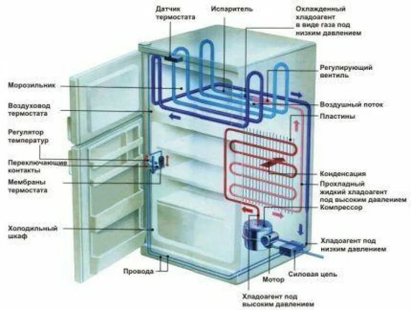 Из чего состоит холодильник Атлант двухкамерный. Датчик испарителя морозильной камеры Атлант. Холодильник устройство и принцип работы. Принцип работы морозильной камеры Атлант.