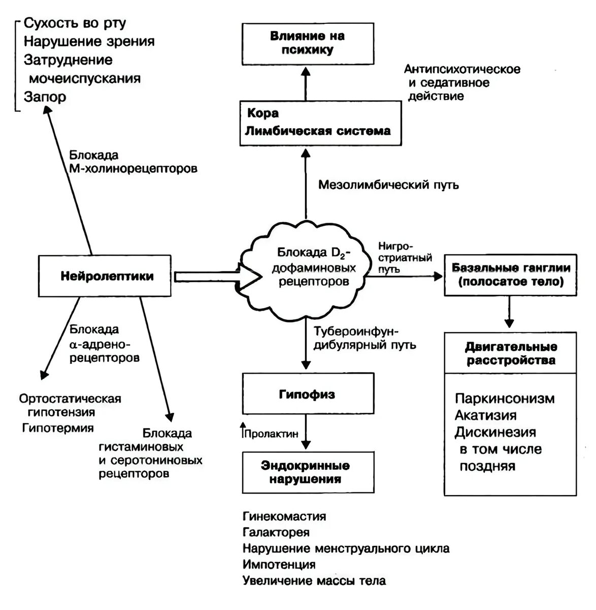 Механизм действия нейролептиков схема. Механизм действия нейролептиков кратко. Антипсихотические средства нейролептики механизм действия. Механизм действия нейролептиков фармакология схема.