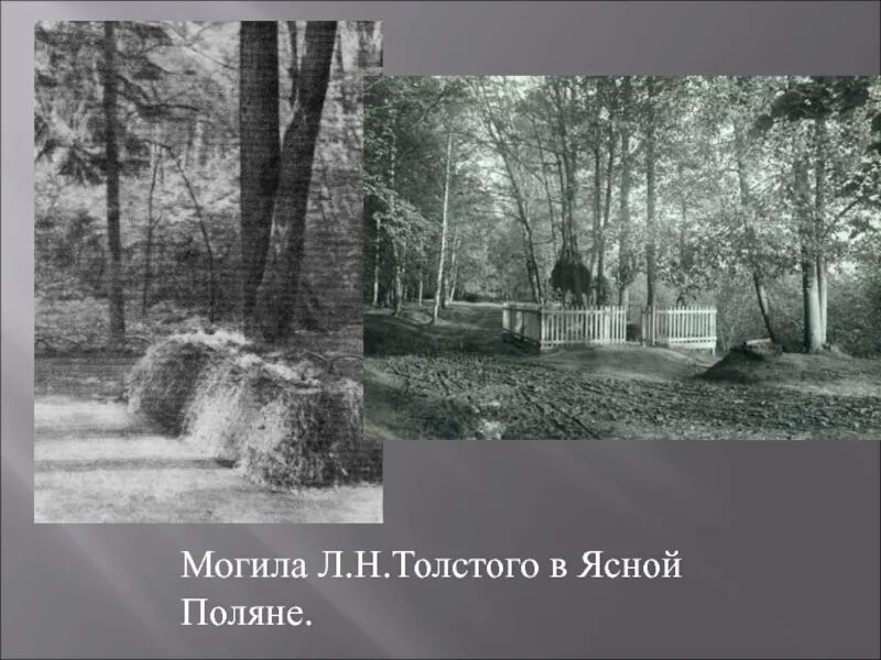 Места толстого. Могила Льва Николаевича Толстого в Ясной Поляне. Лев Николаевич толстой похоронен в Ясной Поляне. Могила Льва Толстого в Ясной Поляне. Похоронен в Ясной Поляне Лев н Толстого.