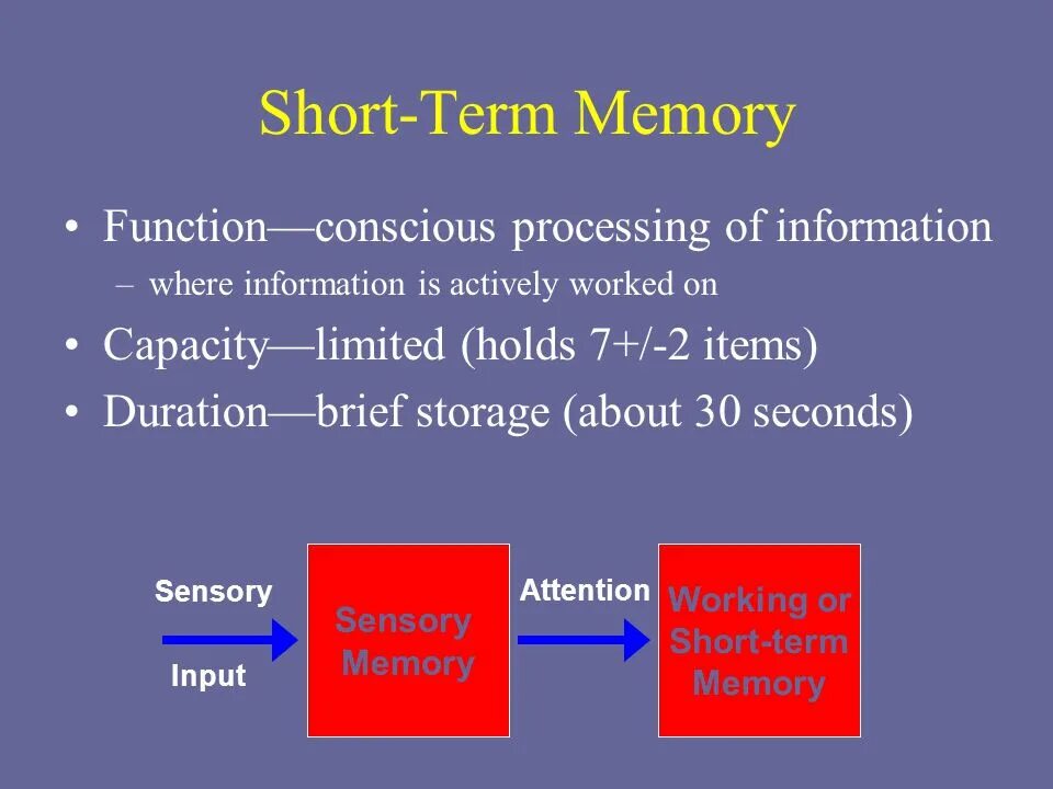 Processing term. Short term memory. short memory long memory. long short term memory модели. short-term memory, and long-term memory.