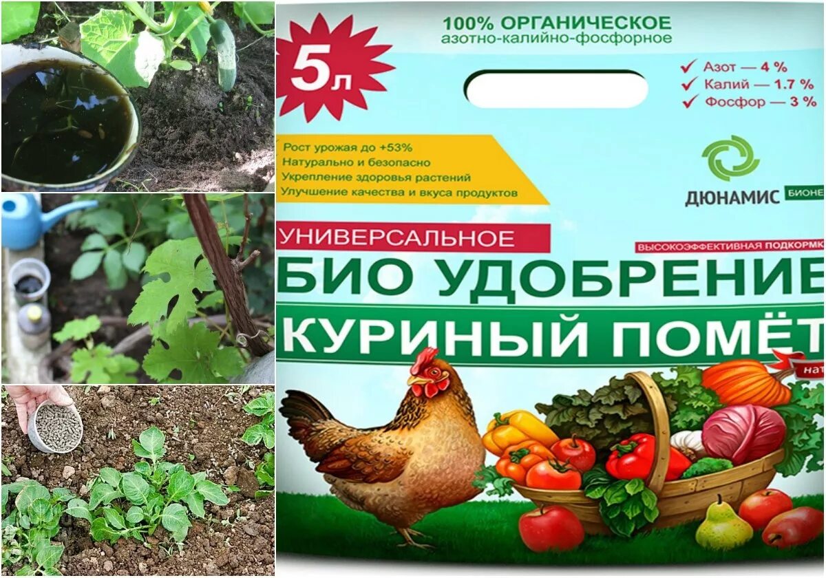 Куриный помет удобрение. Куриный помет для подкормки. Птичий помёт удобрение. Куриный помёт для растений удобрения. Настой куриного помета для подкормки растений