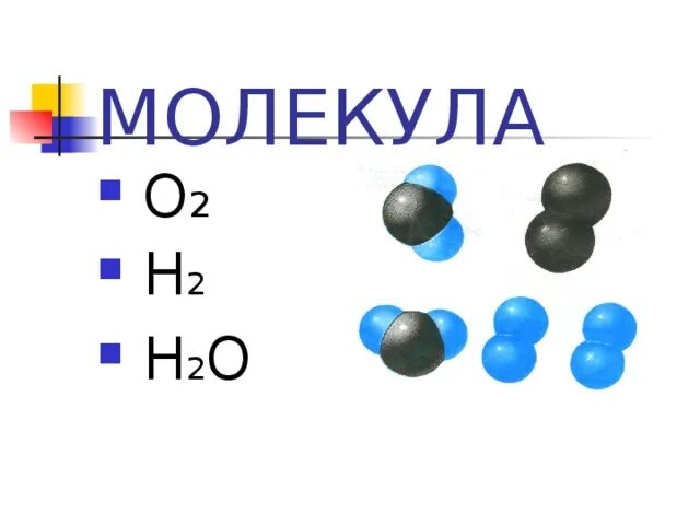 УМОВИ ЖИТТЯ НА ПЛАНЕТІ ЗЕМЛЯ - презентація з природознавства 46D