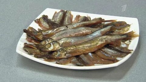 Мойва польза и вред для организма