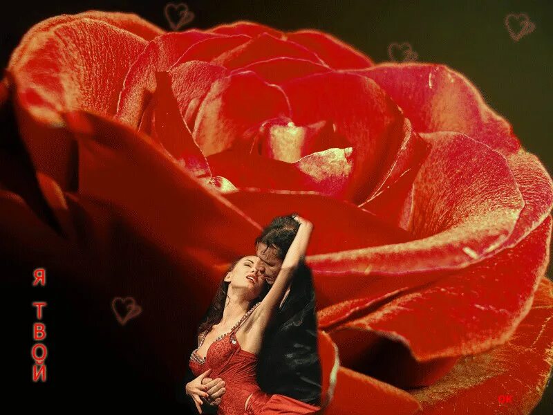 Есть несравненная прелесть. Красотка открытка. Есть несравненная прелесть. Несравненная прекрасная. Ты моя прелесть.