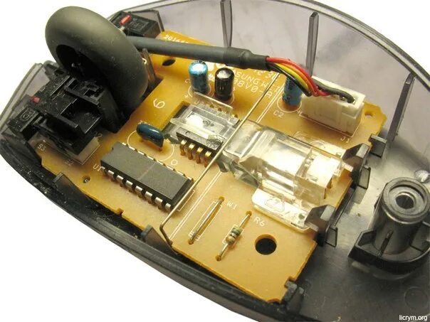 Внутренняя мышь. Беспроводная компьютерная мышь внутри. Строение компьютерной мыши. Строение беспроводной компьютерной мышки. Внутренности мышки компьютерной.