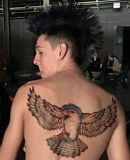 Kai hawk