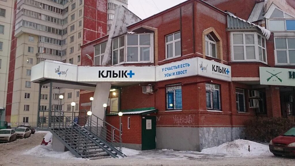 ветеринарная клиника надежда пермь. белый клык ветеринарная пермь. ветеринарная клиника клык пермь. белый клык ветеринарная клиника краснодар. белый клык ветеринарная пермь.