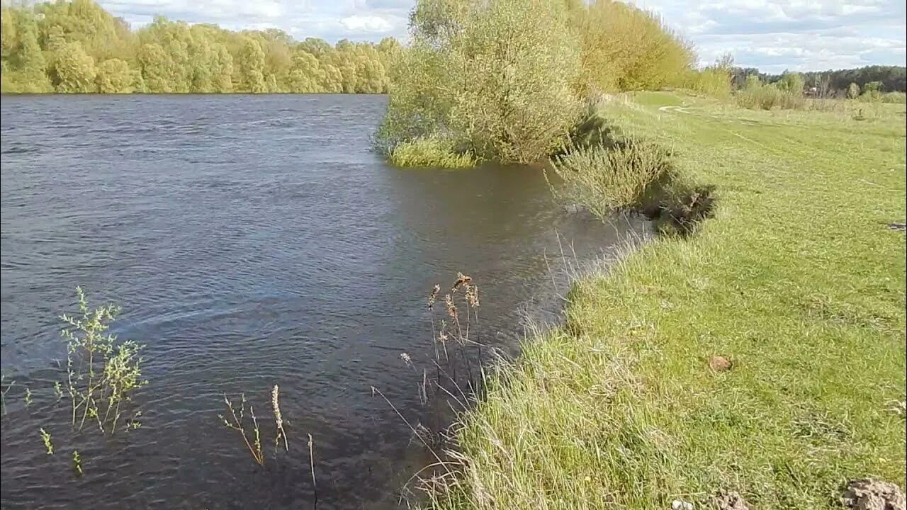 Пироговка (приток ИЖА). Река Десна разлив. Река Пироговка. Озеро в Пироговке.