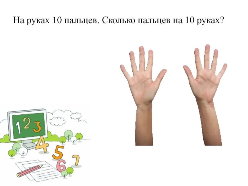 Сколько пальцев на руке. Десять пальцев на руке. На руках 10 пальцев сколько пальцев. На руках 10 пальцев сколько на 10 руках.