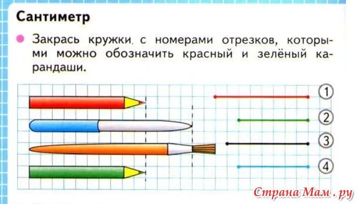 Закрась кружки с номерами отрезков. Закрась кружки с номерами. Закрась кружки с номерами отрезков которыми. Закрасить кружки с номерами отрезков. Сантиметр закрась кружки с номерами отрезков.