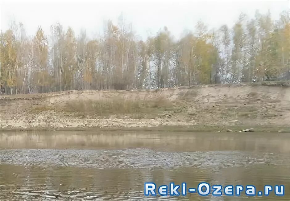 Озеро черное курганская область. Озеро песьяное. Озеро песьяное курганская область. Озеро песьяное курганская область. Озеро песьяное курганская область.