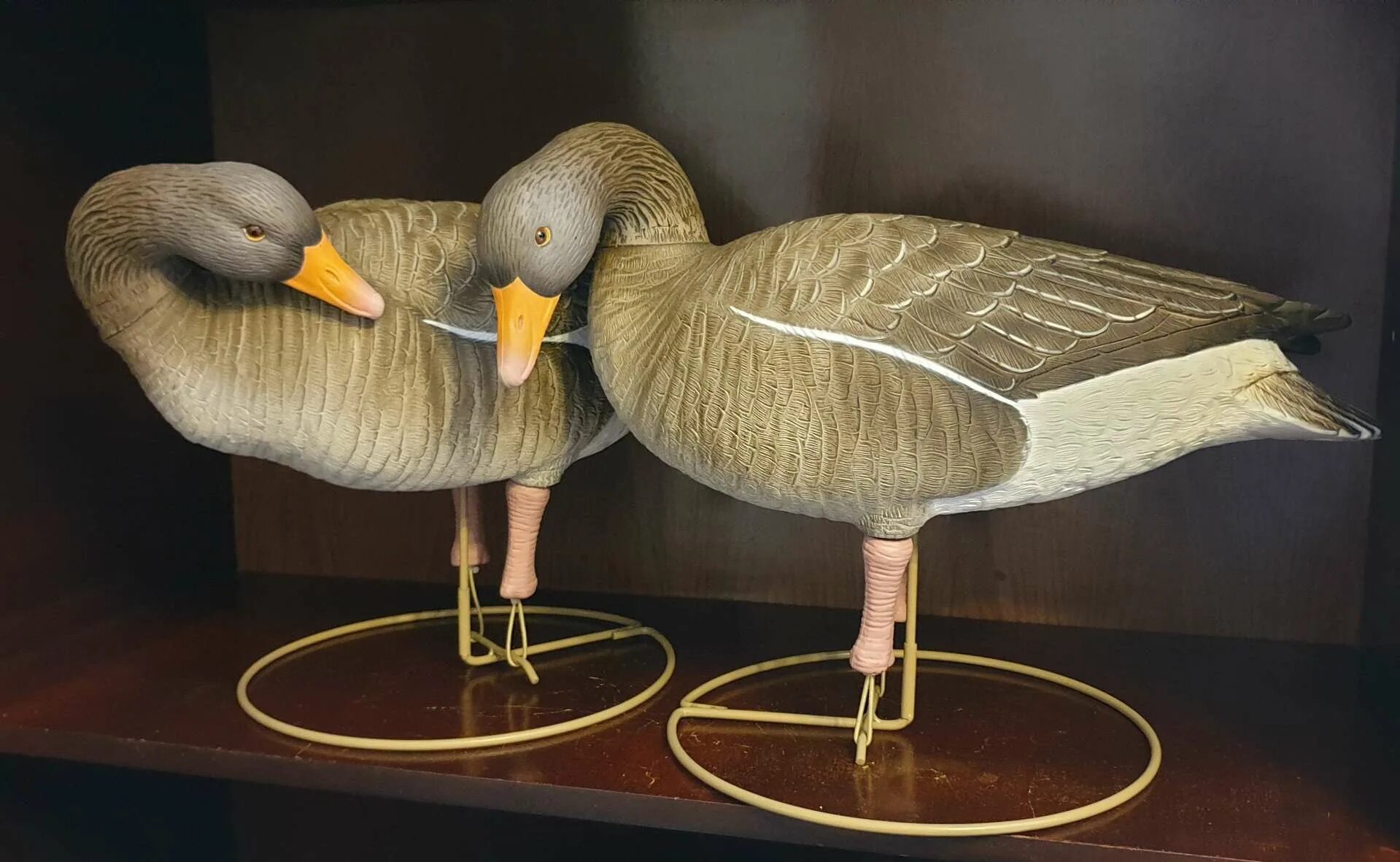 Чучело косули. Два чучела. Пьяная лиса. Прикольные чучела. Два чучела.