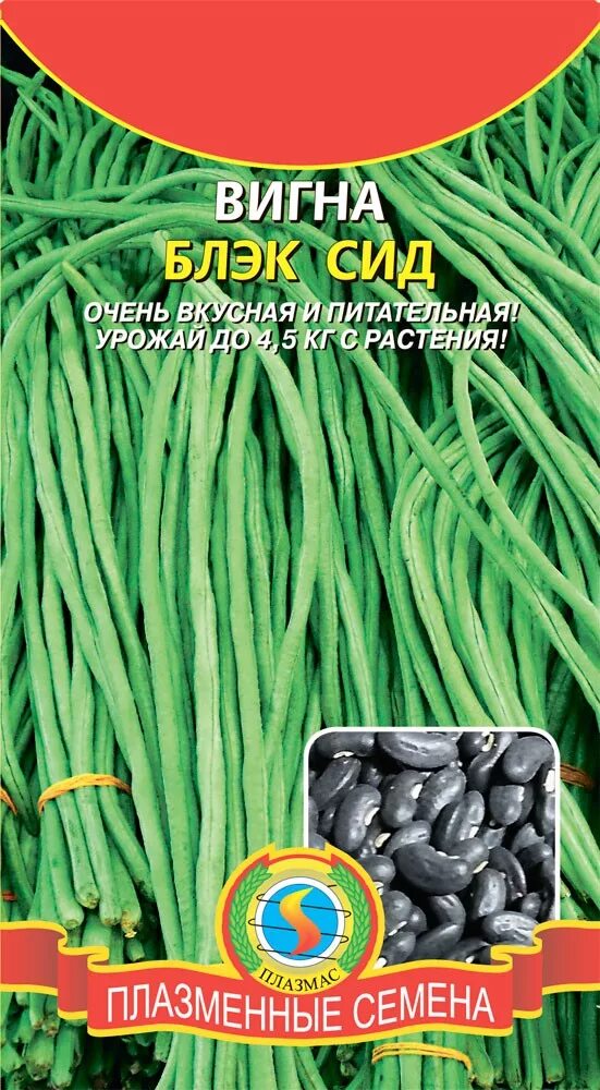 Вигна отзывы. Гавриш вигна графиня. спаржевая фасоль вигна. фасоль вигна семена. спаржевая фасоль семена вигна.