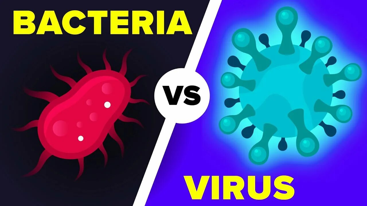 Virus vs virus. Вирусы и бактерии. Бактерии vs вирусы. Вирусы отличаются от бактерий. Отличие вируса от бактерии.